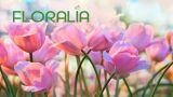 Floralia 2022, a Milano l’evento dedicato al verde e all’artigianato