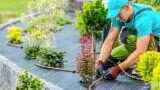 Quanto costa un giardiniere per la pulizia giardino