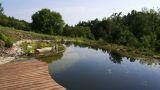 Realizzare una piscina naturale