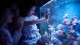 Come allestire un acquario in casa