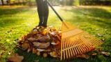 Come curare il giardino in autunno