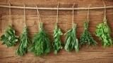 Erbe aromatiche