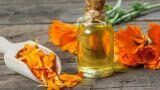 Come prendersi cura della calendula