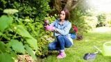 Preparazione del giardino per la primavera