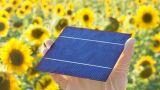 Come scegliere i pannelli fotovoltaici