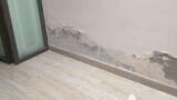 Tecniche per eliminare l’umidità di risalita dai muri