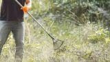 Come preparare il terreno e seminare il prato in giardino
