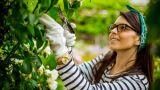 Prodotti naturali da usare per la coltivazione di piante da orto e giardino