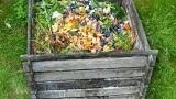 Compostiera da balcone: come fare compost anche in città