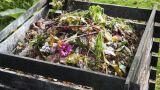 Compostiera termica per la casa: come accelerare il compost tutto l’anno