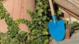 Scegliere la vanga per orto e giardino