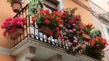 Giardinaggio urbano: come creare un’oasi verde in città