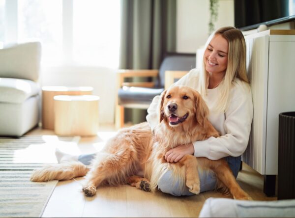 Animali domestici in condominio: cosa stabilisce la legge?