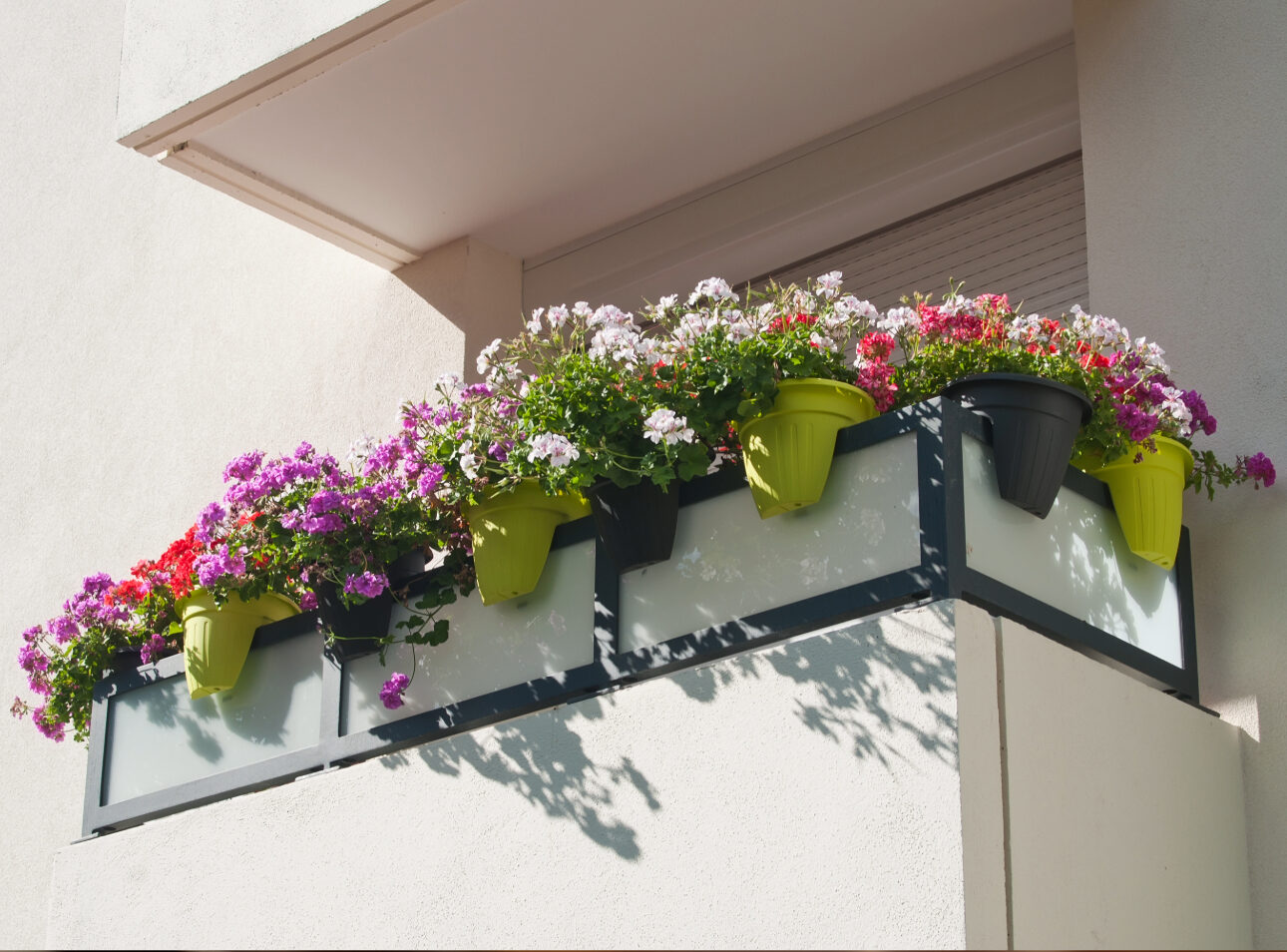 Fioriere e piante sul balcone condominiale: quali sono le regole da rispettare?