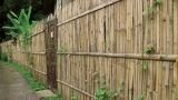Frangivista in bambù per giardini e terrazzi: soluzioni naturali e decorative