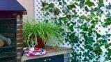 Grigliati in PVC: alternativa economica e duratura per balconi e giardini