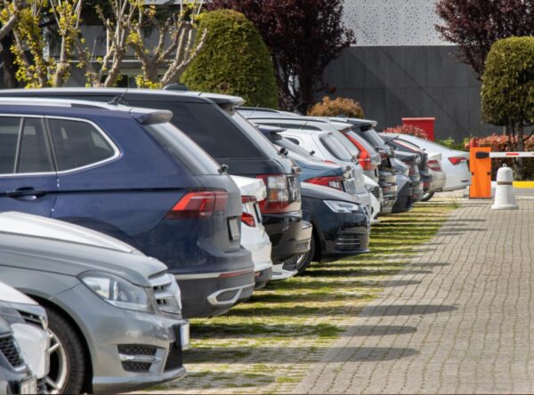 Trasformazione del giardino condominiale in parcheggio
