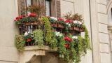 Supporti regolabili per vasi da balcone: modelli pratici e salvaspazio