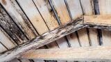 Legno marcescente: come fermarlo davvero e prevenire il degrado prima che sia irreversibile